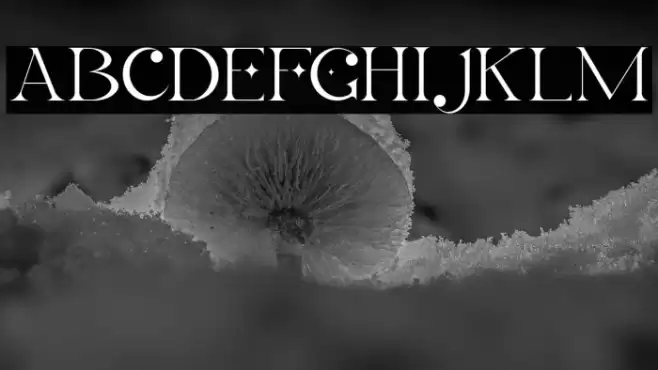 LaObrige-PersonalUse Font examples