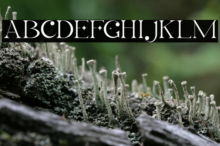 LaObrige-PersonalUse Example 3