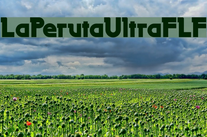LaPerutaUltraFLF Font examples