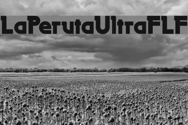 LaPerutaUltraFLF Example 3