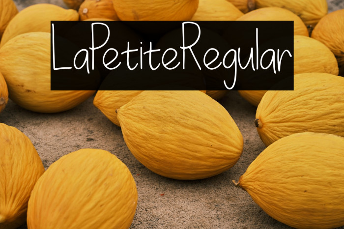 LaPetiteRegular Example 2