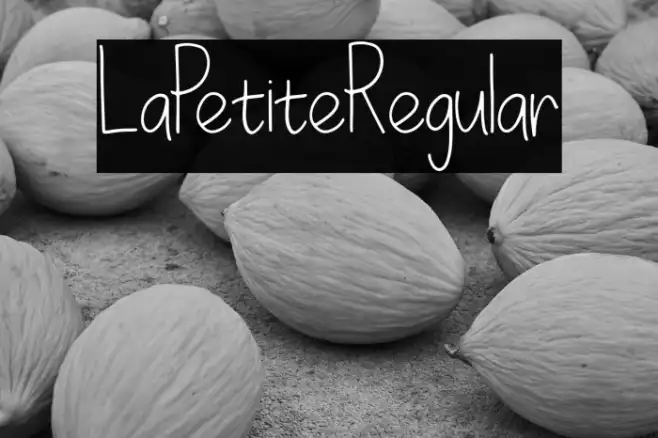 LaPetiteRegular Example 2