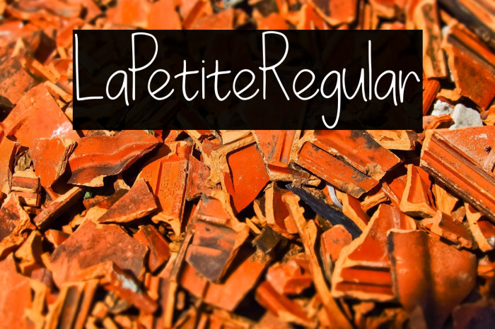 LaPetiteRegular Example 3