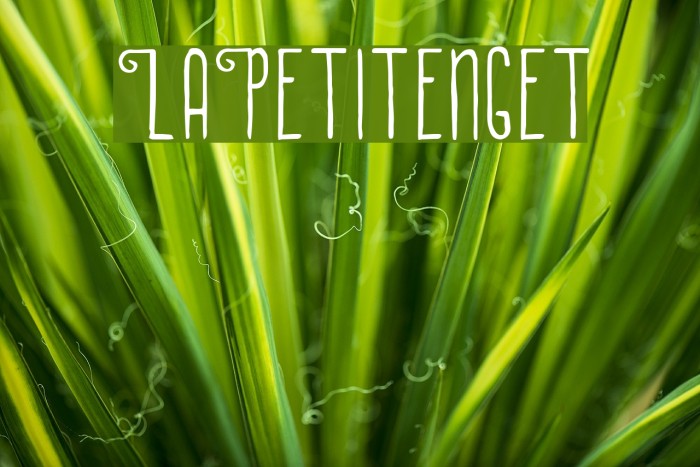 LaPetitenget Font examples
