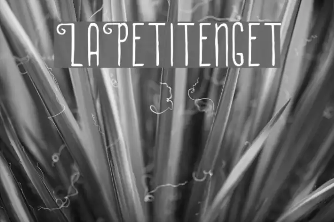 LaPetitenget Example 1