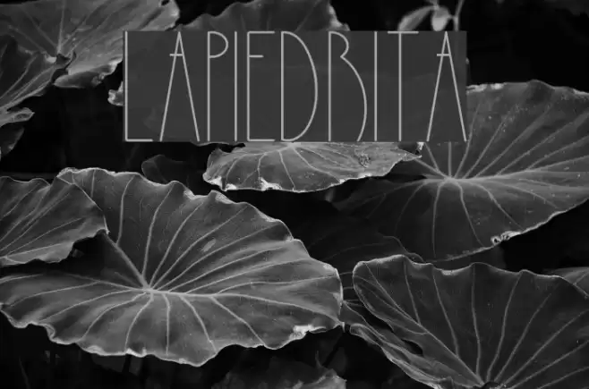 LaPiedrita Font examples