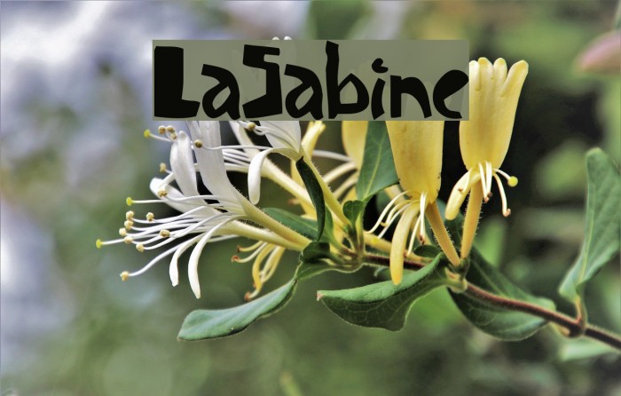 LaSabine Font examples