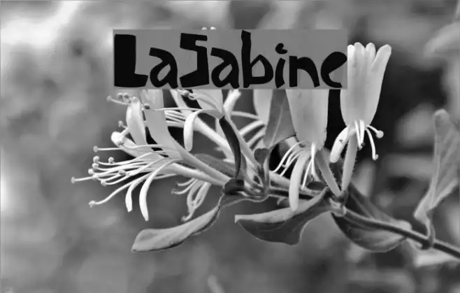 LaSabine Example 3