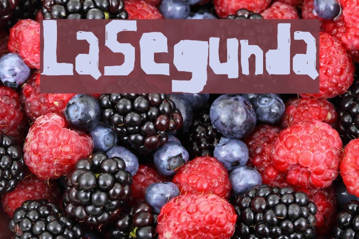 LaSegunda Font examples