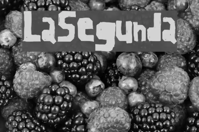 LaSegunda Example 3