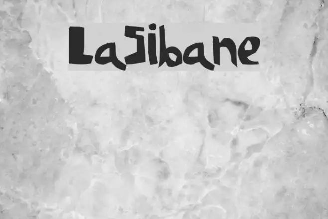 LaSibane Example 1