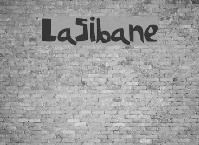 LaSibane Example 3