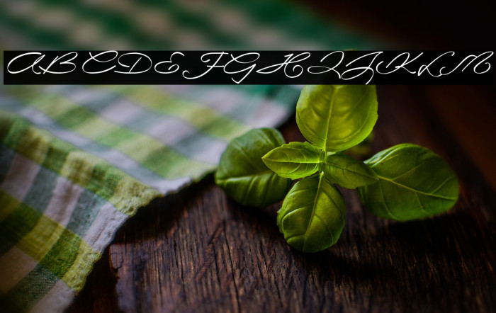 LaSonnambula-ffp Example 2