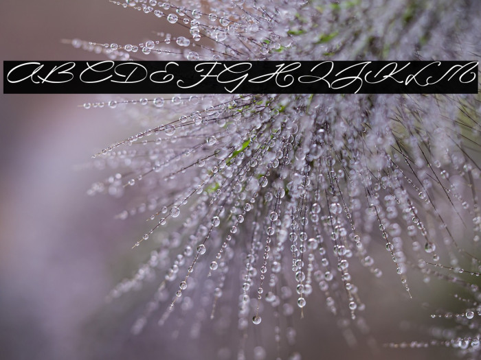 LaSonnambula-ffp Example 3