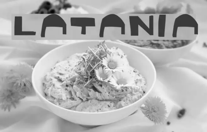 LaTania Example 1