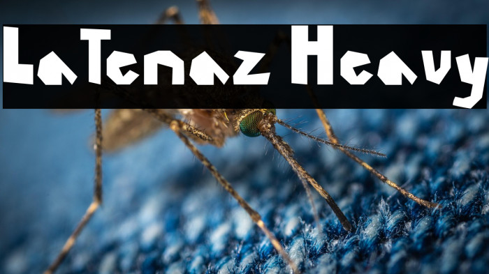 LaTenaz Heavy Example 2