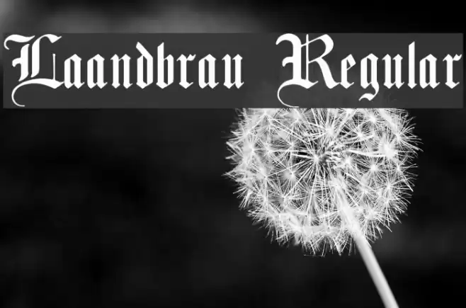 Laandbrau Regular Font examples