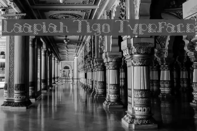 Laapiah Tigo Typeface Font examples