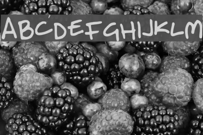 LabMol Font examples