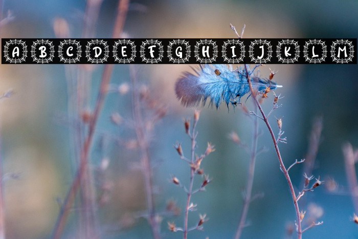 Laba Monogram Regular Example 2