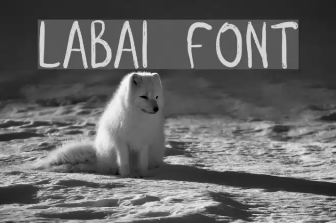 Labai Font examples