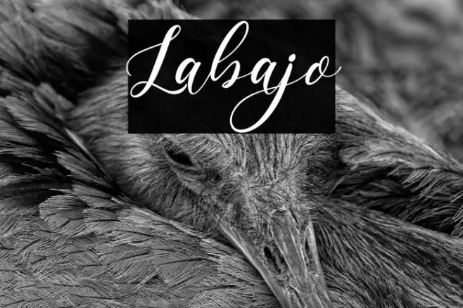 Labajo Font examples