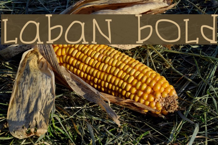 Laban Bold Font examples