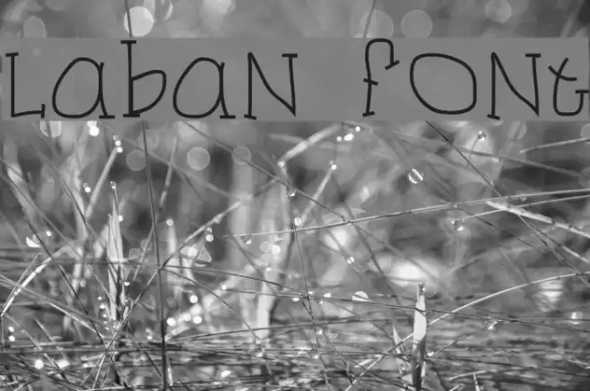 Laban Font examples