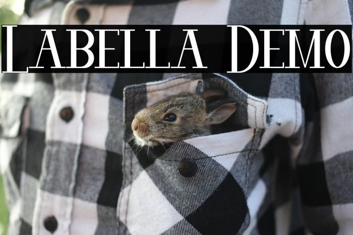 Labella Demo Example 1
