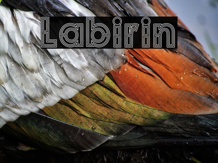 Labirin Example 3