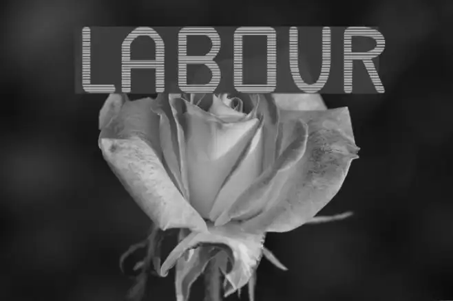 Labour Example 2