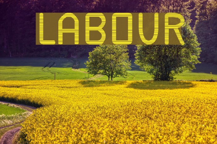 Labour Font examples