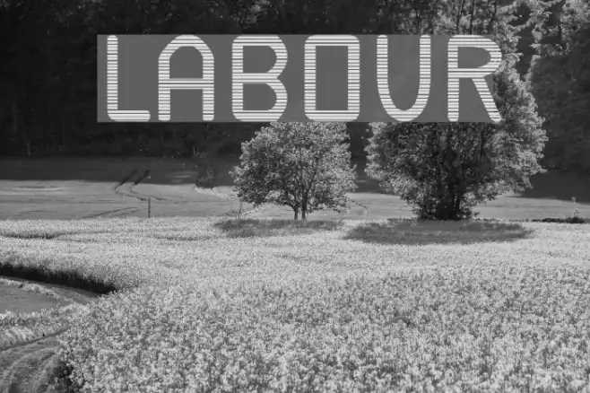 Labour Example 3