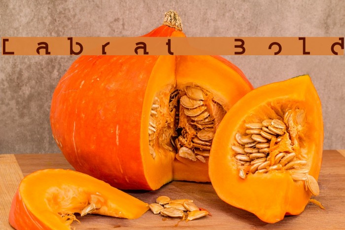 Labrat Bold Caratteri examples
