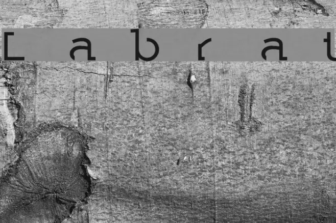 Labrat Example 1