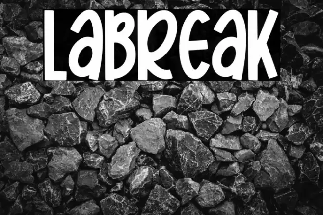 Labreak Polices examples