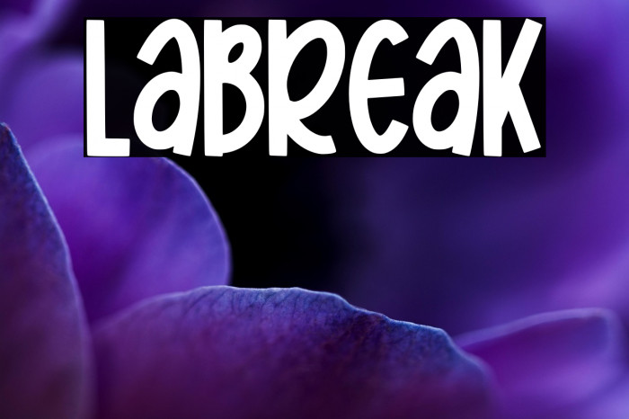 Labreak Example 2