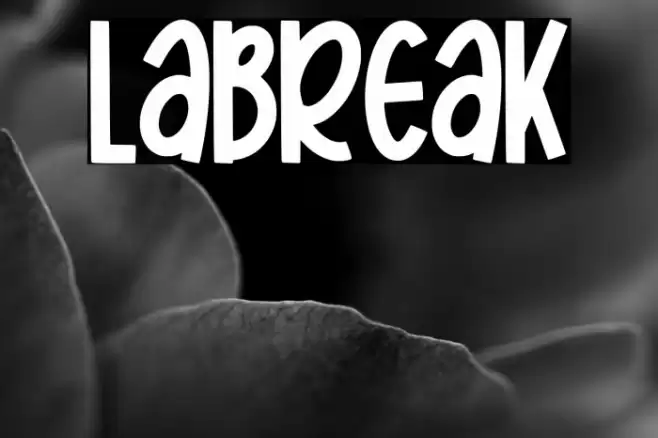 Labreak Polices examples