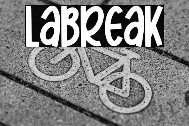 Labreak Polices examples