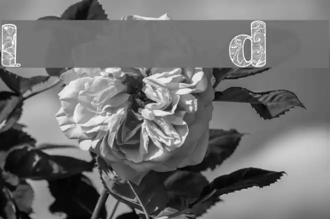 Labrint Demo Fonte examples