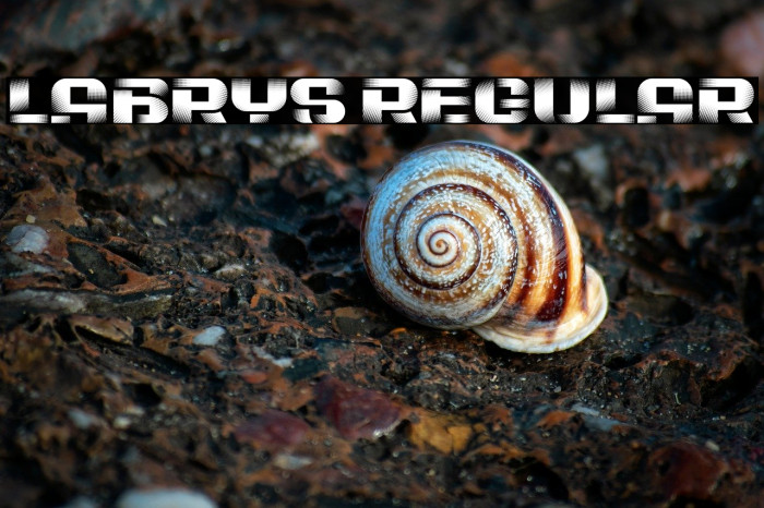 Labrys Regular Example 3