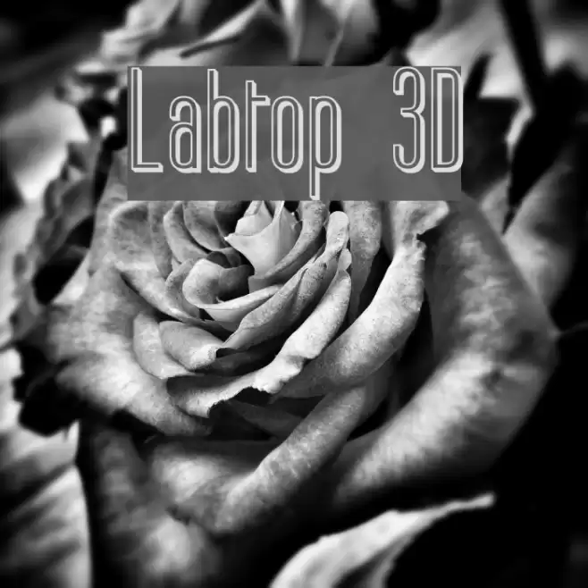Labtop 3D Font examples