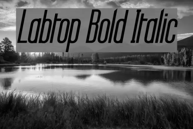 Labtop Bold Italic Font examples