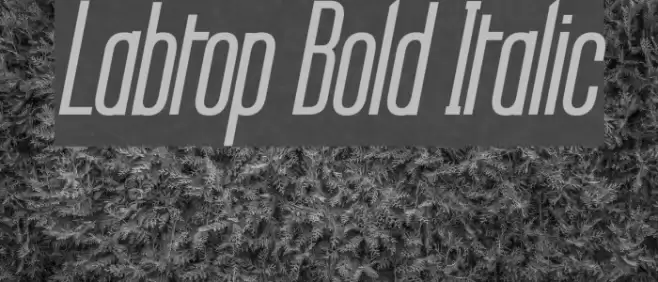 Labtop Bold Italic Font examples