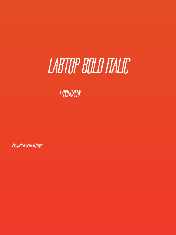 Labtop Bold Italic Poster