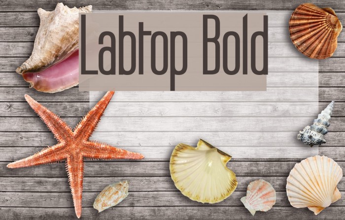 Labtop Bold Font examples