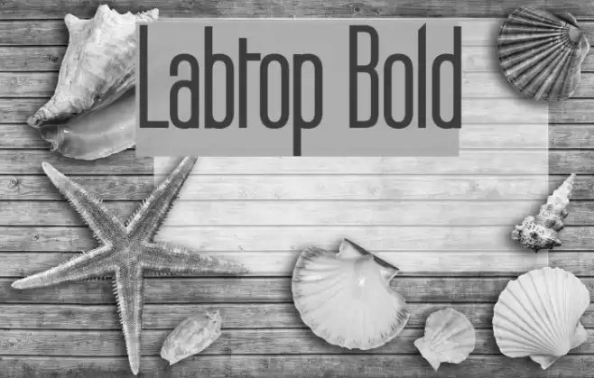 Labtop Bold Font examples
