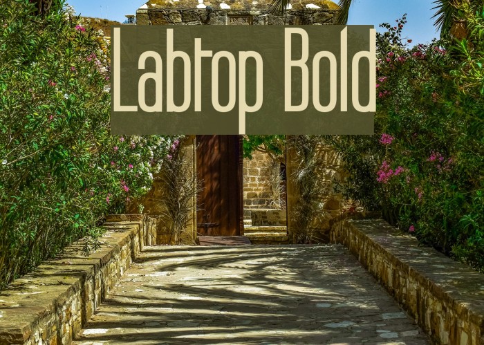 Labtop Bold Font examples