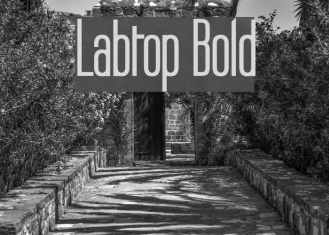 Labtop Bold Font examples