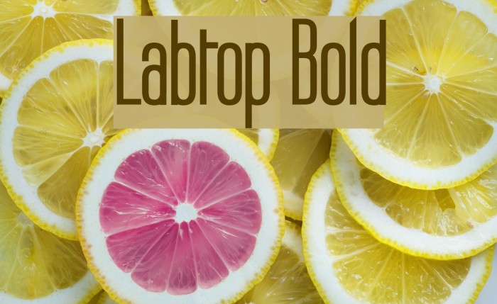 Labtop Bold Font examples